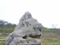 原本贾平凹·长篇小说系列读后感锦集