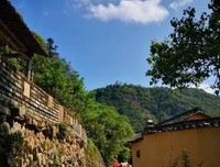 《执子去和学种手 与子偕里会》的句子