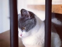 《我是人间快乐》观后感摘抄