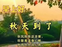 他成走么美的句子