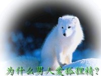祸国句子大全