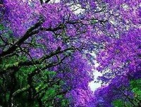最经典的《韦帅望的张湖·不减狂傲》好段摘抄
