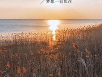最全的《浮沉2》经典语录大全