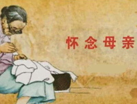 看，这个世界读后感1000字