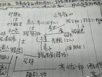 《鲤·宿命》读后感摘抄