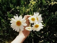 不痛不痒的句子