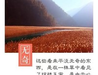 有关繁花似锦的美句摘抄