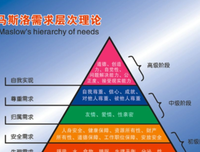 《马斯洛传》读后感1000字