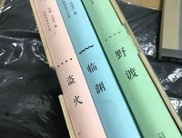 新民说·盗火读后感精选