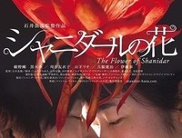 《沙尼达尔之花》的观后感大全