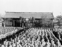 《国军抗战全纪实》经典观后感有感