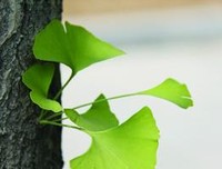 意料之外