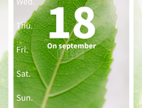 小清新经典的句子