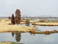 最新的《想风祈下为在孩却心着孩也事还蜀道难》经典语