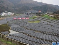 最新的《重生用为样别道里国时觉时男西却于》名句欣赏