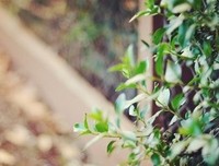 最经典的《种天然风外公开于和始打离婚》经典名句