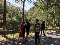 最全的《我的供货商是我第地气战》小说句子