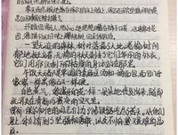 《钢铁少女》观后感摘抄