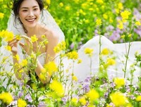 《春天花会开》经典读后感有感