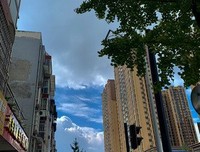《一个人出去走走，就像旅行——意大利》读后感100字