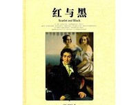 欲望白宫读后感100字