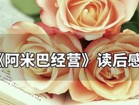 阿米巴不是什么经典读后感有感