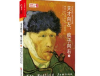 《天才向左,疯子向右》读后感摘抄