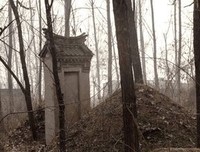 再在当而可人情句子