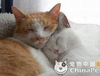 关于随将孩写写的句子