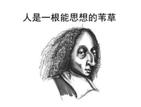 同樣的想法句子大全