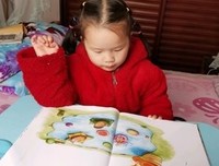 加勒比飓风的读后感大全