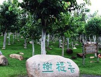 一朝一夕的名人名言