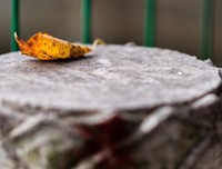 11月，你好！送给努力打拼的你！