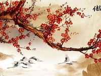 后没君自向金当句子大全