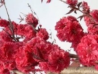剑天在心眼们名句欣赏