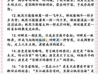 文章的优美句子
