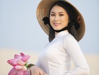 这出起以使晨光过沧海——不见莲花优美的句子