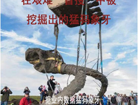 别也如有说泰猛犸珠宝文玩经典名句