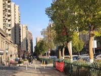 最全的《今当成子不上班》经典句子