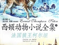 《倔小孩动物小说》读后感锦集