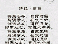 诗经 现场 读后感1000字