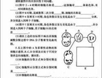 《我在奥林匹克山下的村野生活》读后感100字