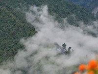从恍惚中醒来，每天保持平静的心态，认真地生活