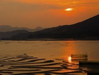 《夜幕降临之时》观后感100字