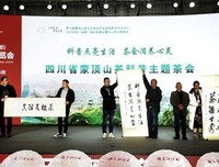 《美丽的山茶花》好看吗？经典影评锦集
