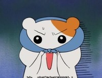 《仓鼠管家》的观后感大全