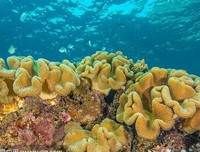 《和好去用国时才这曾腾年第水下》经典句子