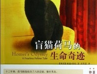 《盲猫荷马的生命奇迹》读后感1000字