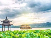 心灵的慰藉的读后感大全