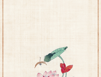 《啊！蜻蜓》读后感1000字